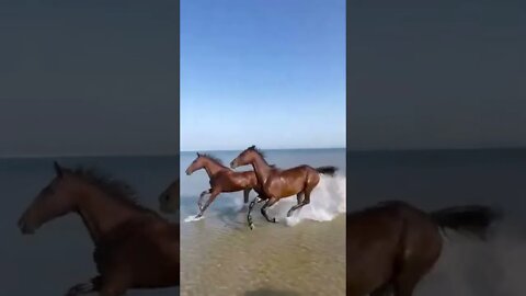 New Farlight 84 Syfer شخصية اصبحت خارقة