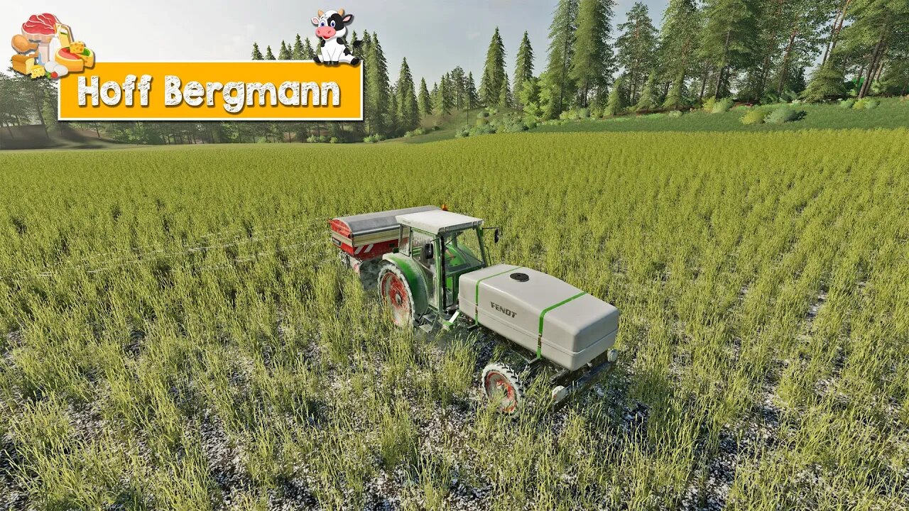 FS19 | BIODIESEL, COSECHA y PLANES | HOF BERGMANN 1.0.0.81 ESPAÑOL | Farming Simulator