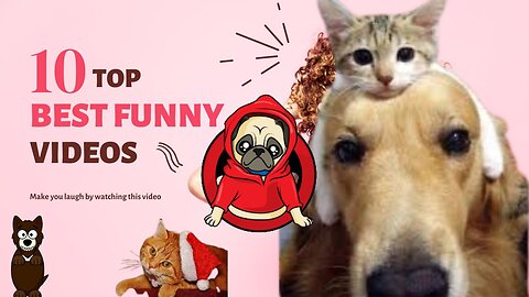 Animals Crazy Moments | Episode 120