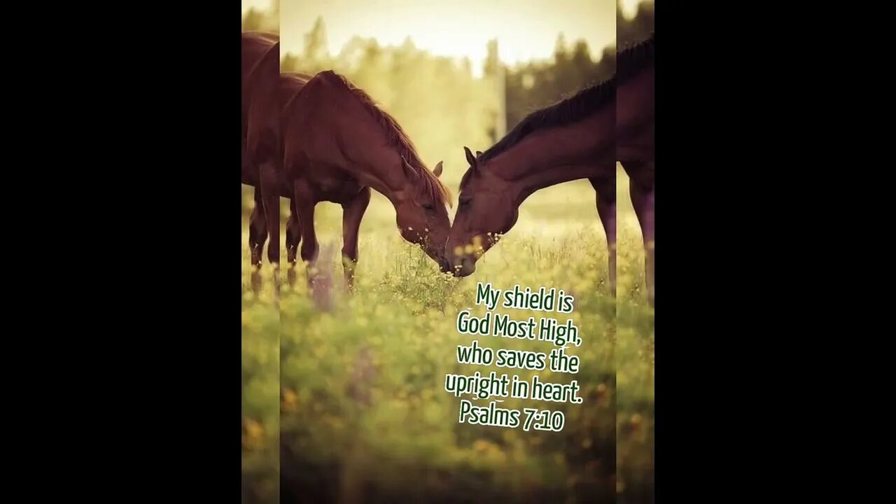 💕 Guard your HEART 💞