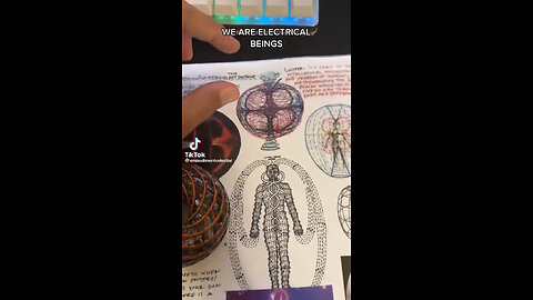 We are Electrical Beings
