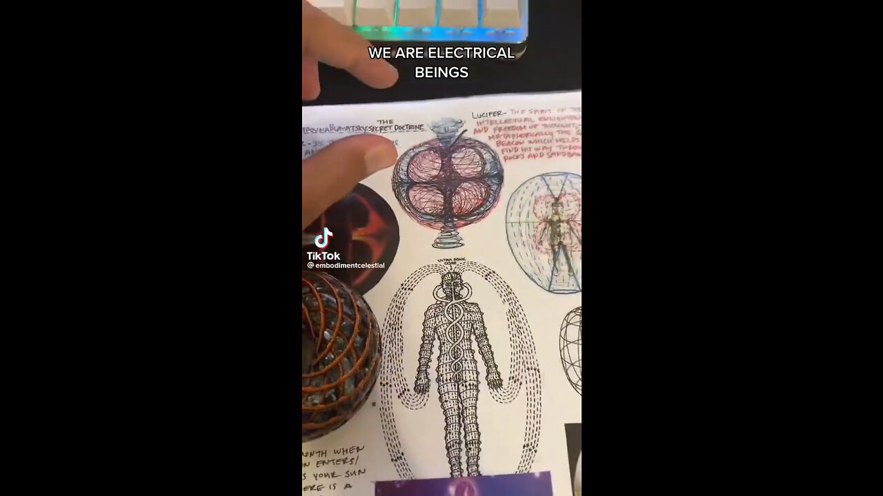 We are Electrical Beings