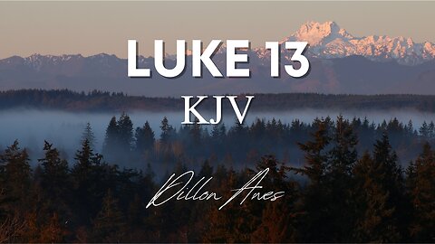 Luke 13 - King James Audio Bible Read By Dillon Awes