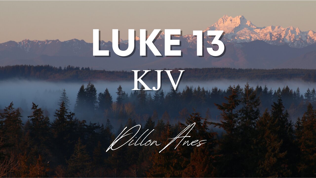 Luke 13 - King James Audio Bible Read By Dillon Awes
