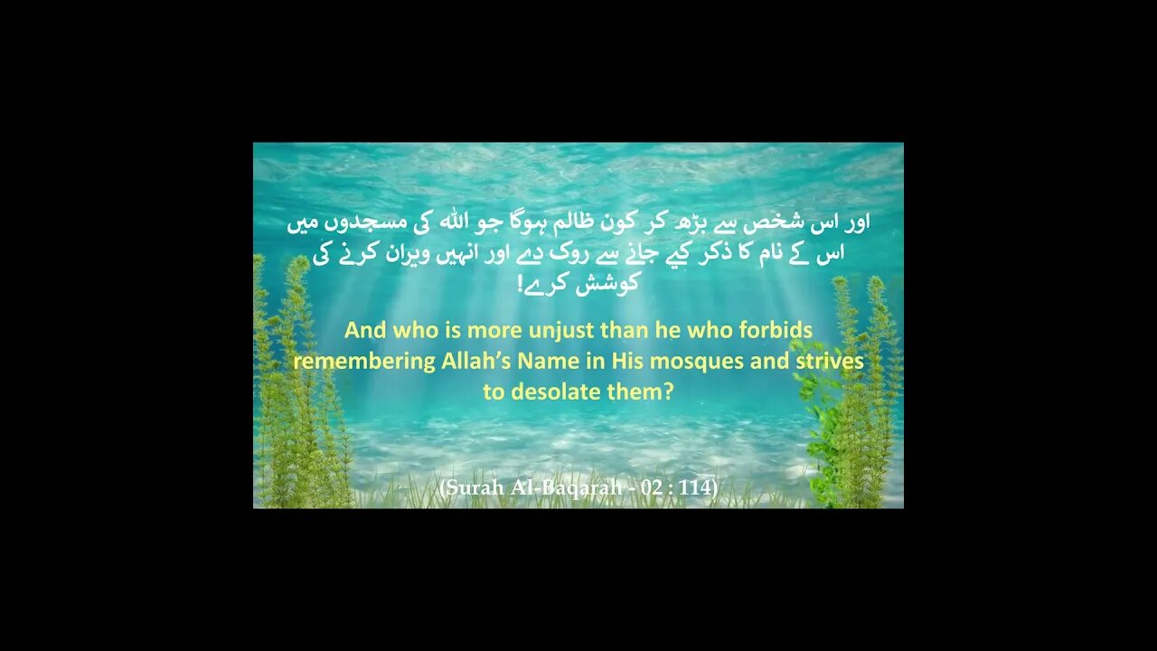 Complete Quran - Part # 50 - {Surah Al-Baqarah (The Cow) Verse 114 - 115} HD #shorts