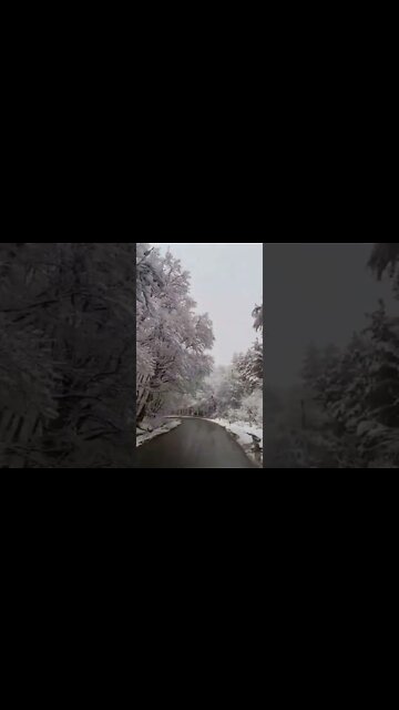 Best Relaxing Sound & Videos | Snowfalls | #shorts