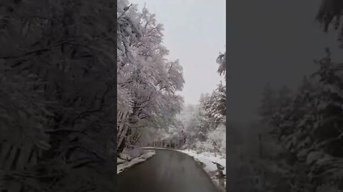 Best Relaxing Sound & Videos | Snowfalls | #shorts