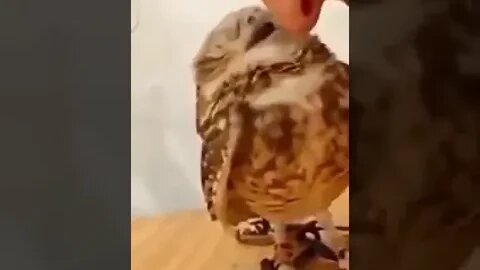 ۲۸ اوت ۲۰۲۲