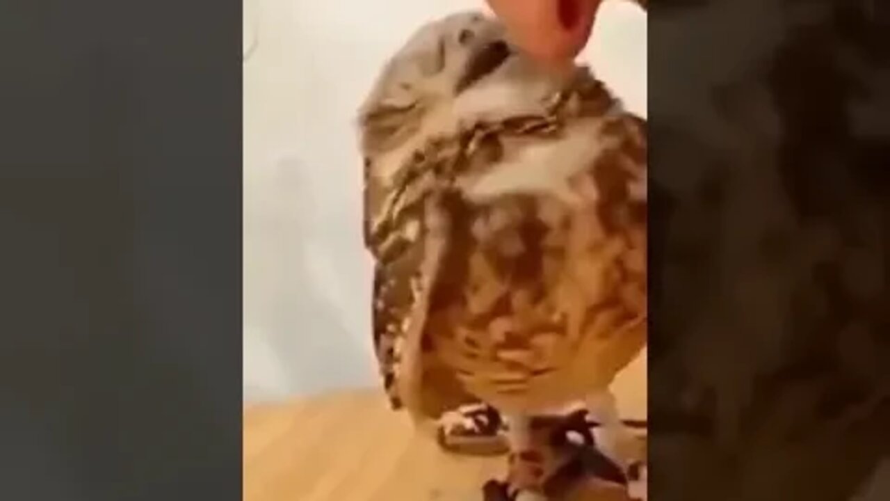 ۲۸ اوت ۲۰۲۲