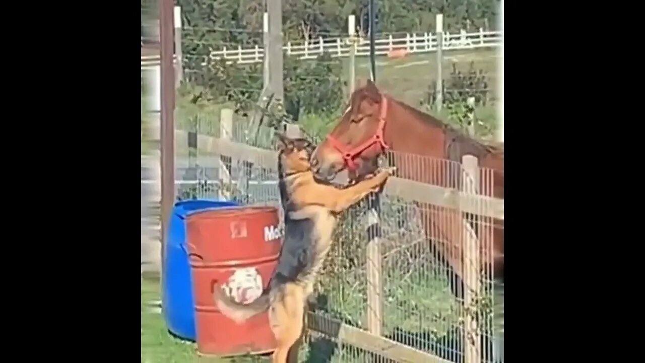 Making new friends. . .