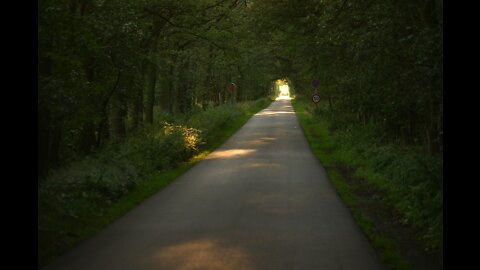 2022-07 Walking The Road