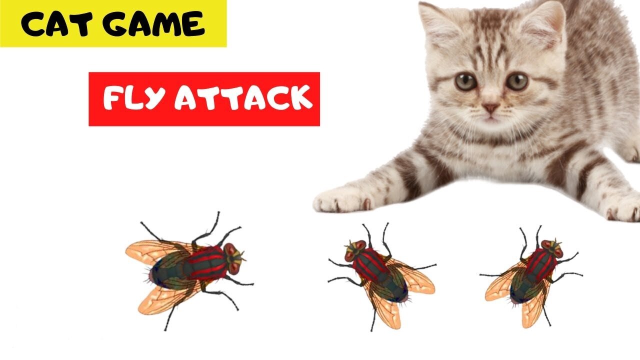 CAT GAME - FLY ATTACK