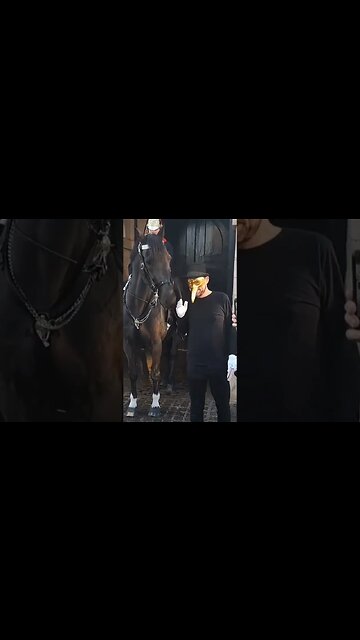 Horse tries to bite your golden nose #horseguardsparade