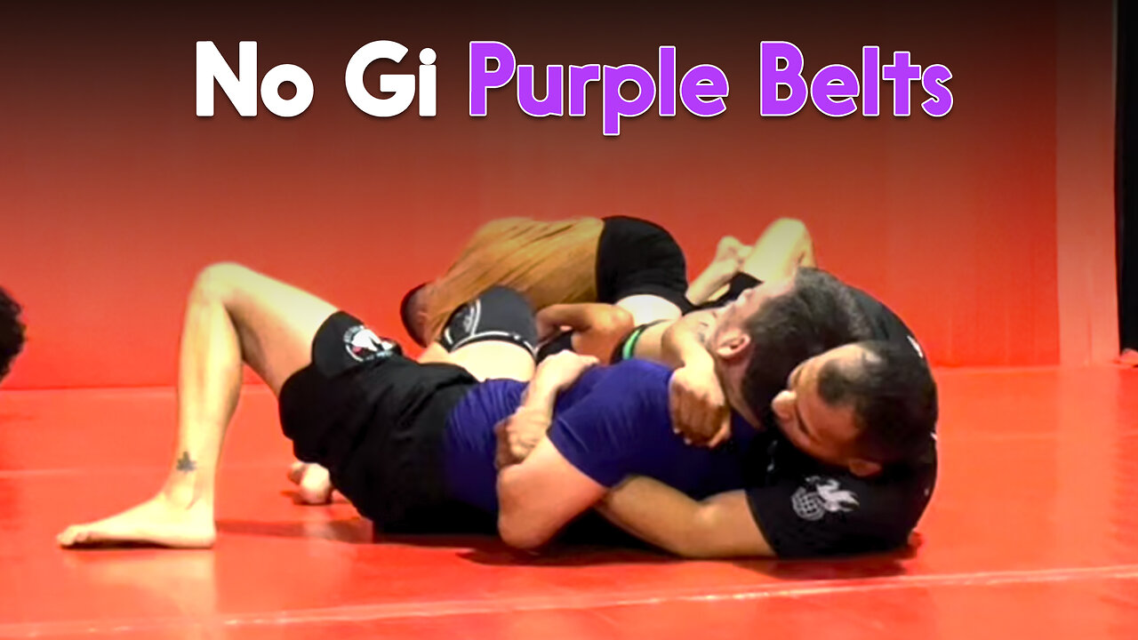 Jiu Jitsu Purple Belts [No Gi] | Circadian MMA (11-02-222)