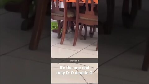 MEME is the one and only D-O double G #shorts