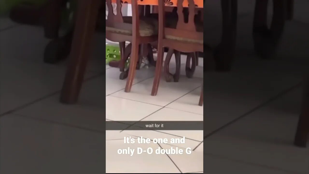 MEME is the one and only D-O double G #shorts