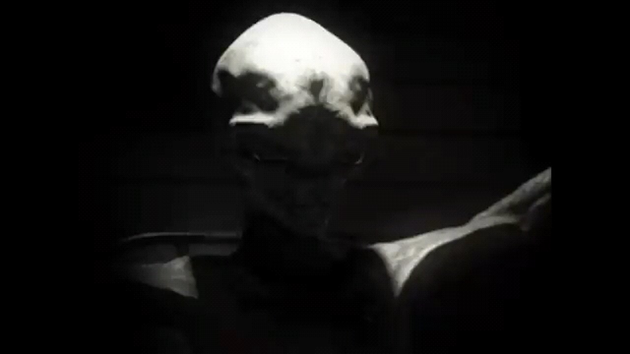 ALIEN INTERVIEW PT 2 👁️👹👺🛸👽