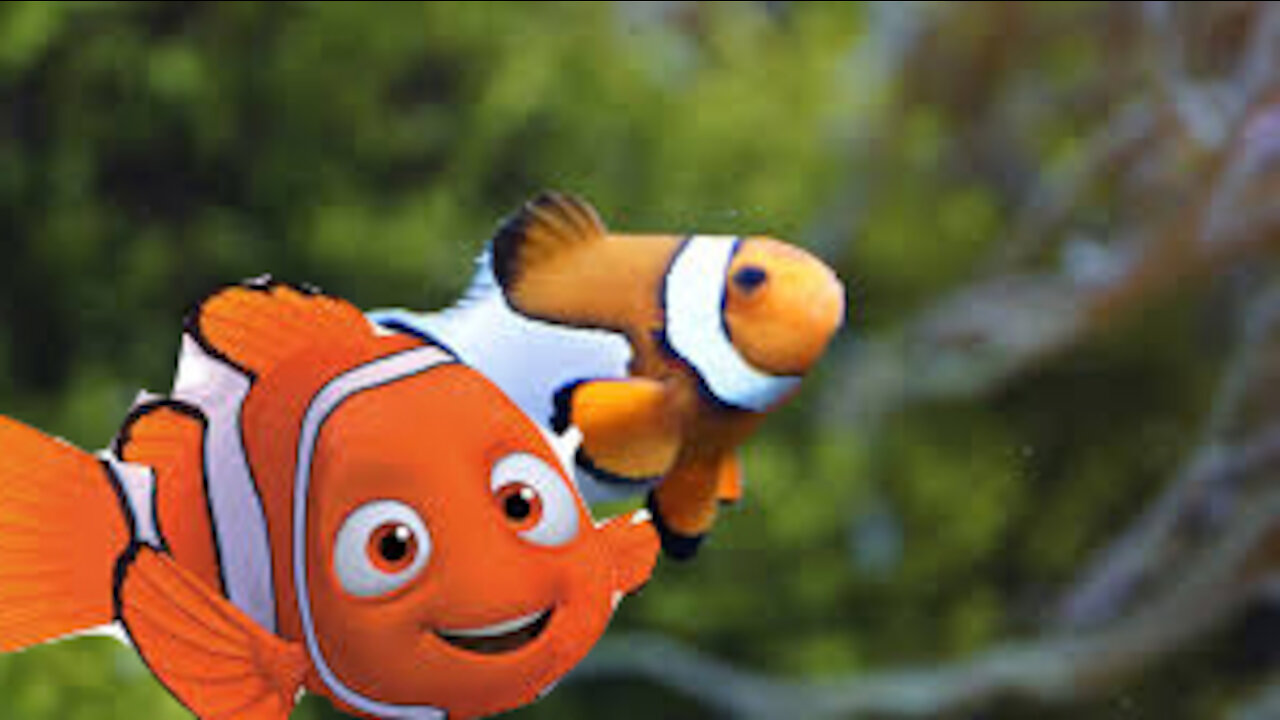 Real Nemo