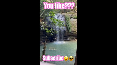 https://www.youtube.com/@Seymoursfishingadventures