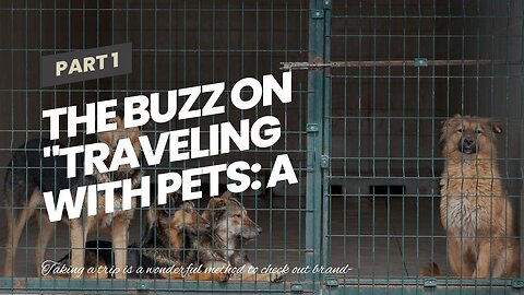 The Buzz on "Traveling with Pets: A Comprehensive Guide"