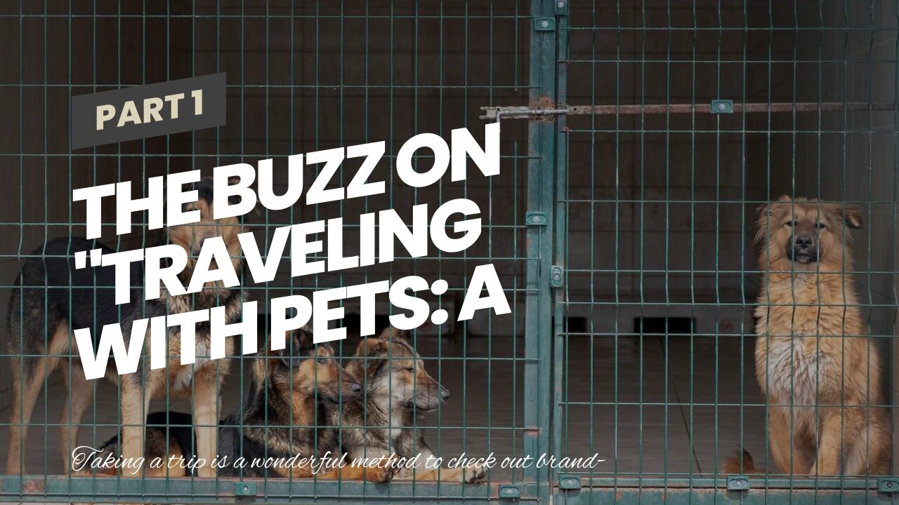 The Buzz on "Traveling with Pets: A Comprehensive Guide"