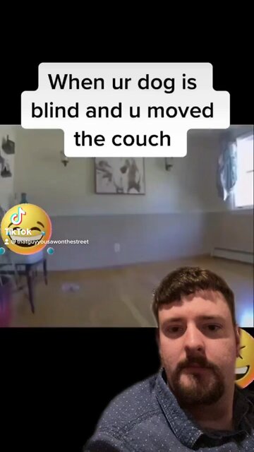 Forbidden fruit from TikTok￼