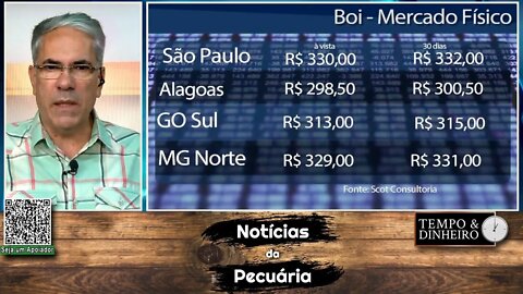 Boi gordo: mercado morno com preços estáveis e oferta restrita.