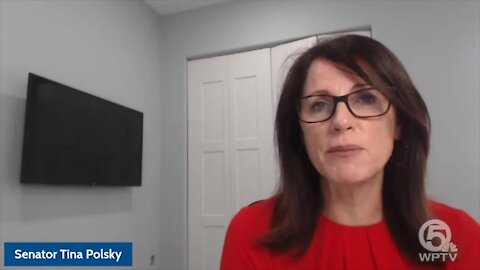 State Sen. Tina Polsky, diagnosed with breast cancer, says surgeon general wouldn't wear mask in her office