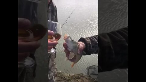 Правильный прикорм🎣🐟