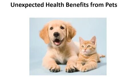 The Health Benefits of Pets on your Immune System & Microbiome