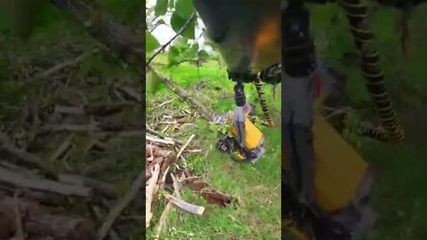 #shorts #2022 funny,prank,funjokes,dad jokes,funny memes,funny video,fun,laughing,funny animal,knock