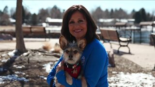 Denver7 anchors show of their pups during National Puppy Day