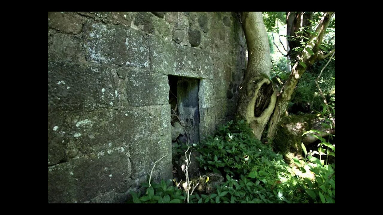 Searching for lost Mill in the Woods (Noddsdale Mill)