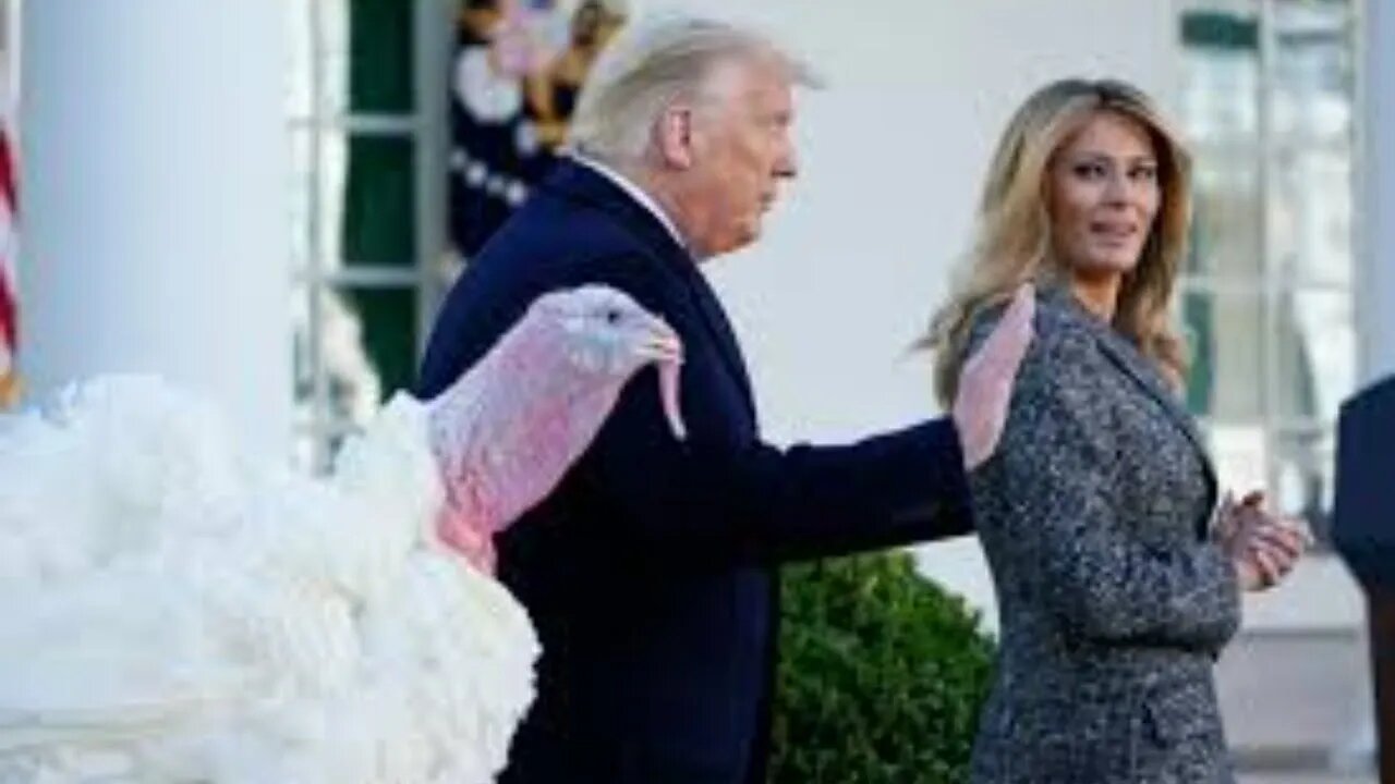 President Reject Trump FINALLY takes questions on the #LieStream. Come chat thanks.