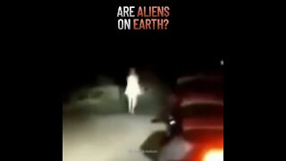 What If Aliens Brought Life to Earth?