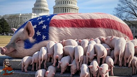 That’s a Lot of Piglets!