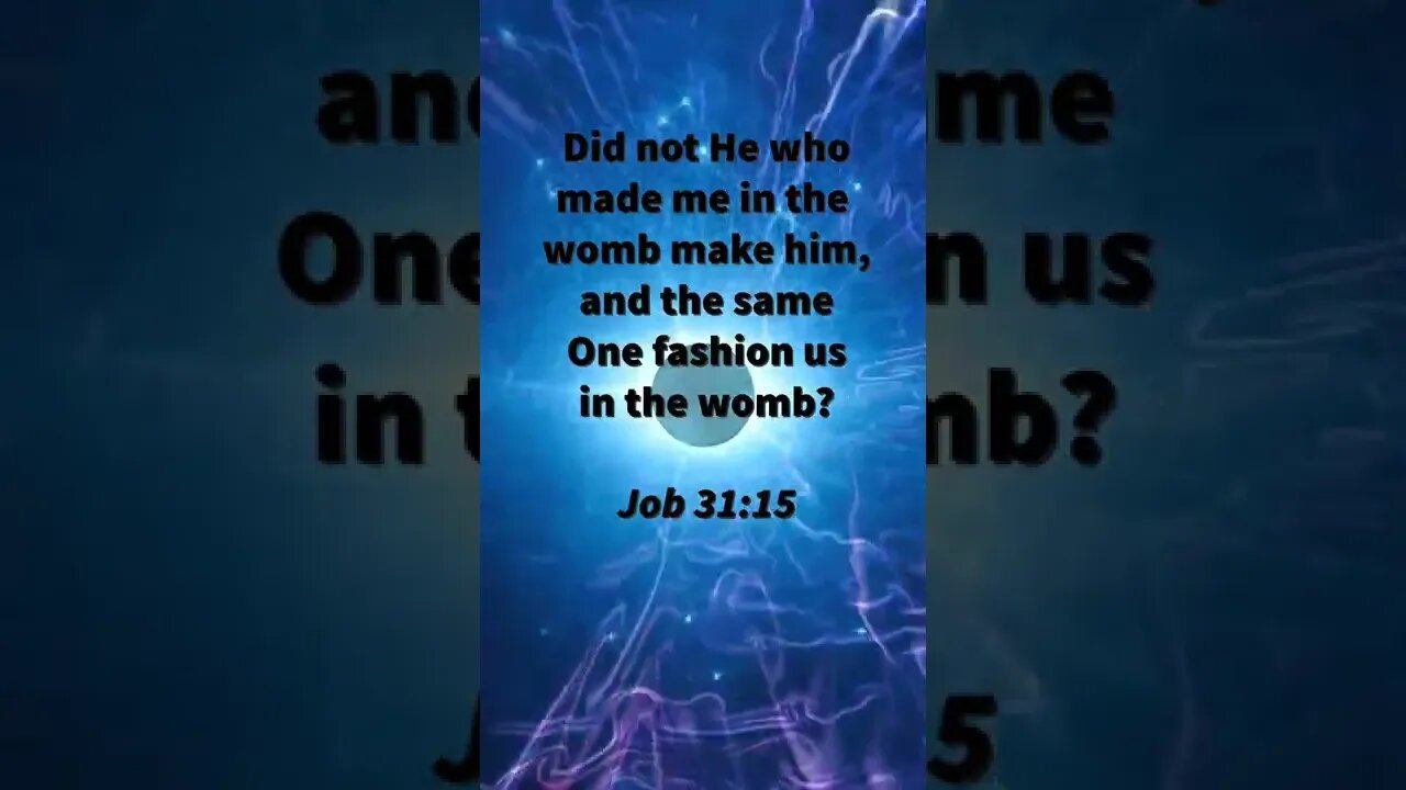 ALIVE IN THE WOMB! | MEMORIZE HIS VERSES TODAY | Job 31:15