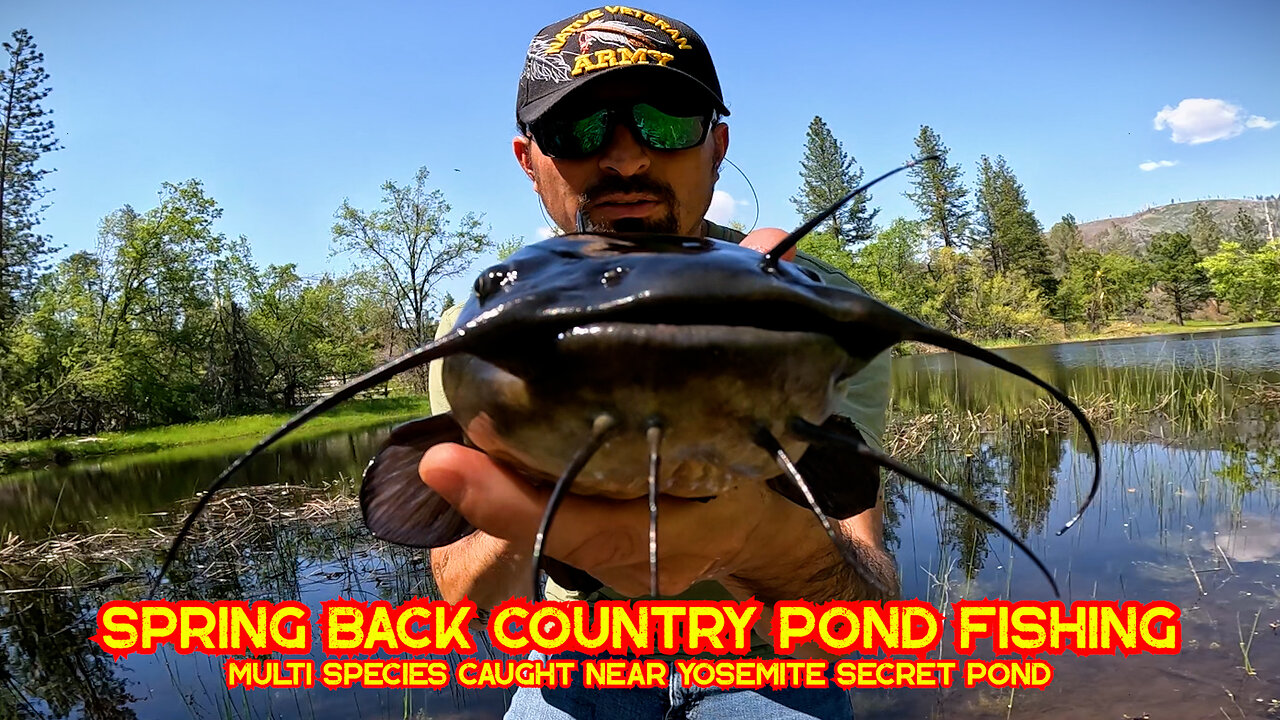 Secret Yosemite Back Country Fishing Pond | May 2023 Spring Bass & Multi Species JangoMike