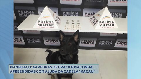 Manhuaçu: 44 pedras de crack e maconha apreendidas com ajuda da cadela "Kacau"