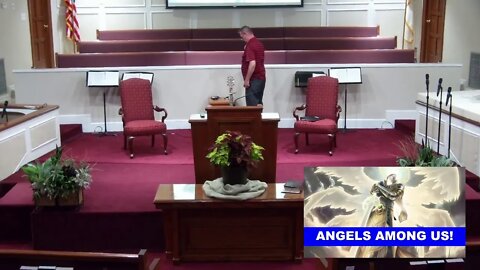 Angels Among Us!
