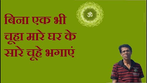 बिना एक भी चूहा मारे घर के सारे चूहे भगाएं