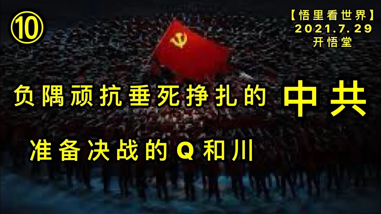 KWT2171(10)准备决战的Q和川-负隅顽抗垂死挣扎的中共20210730-8【悟里看世界】