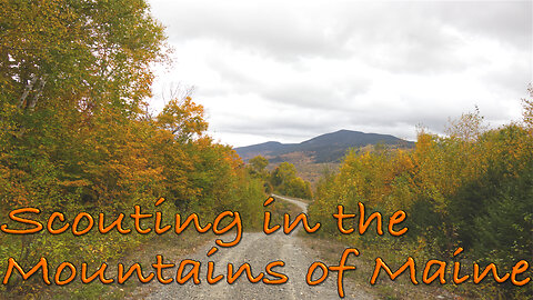 Scouting in the Mountains of Maine