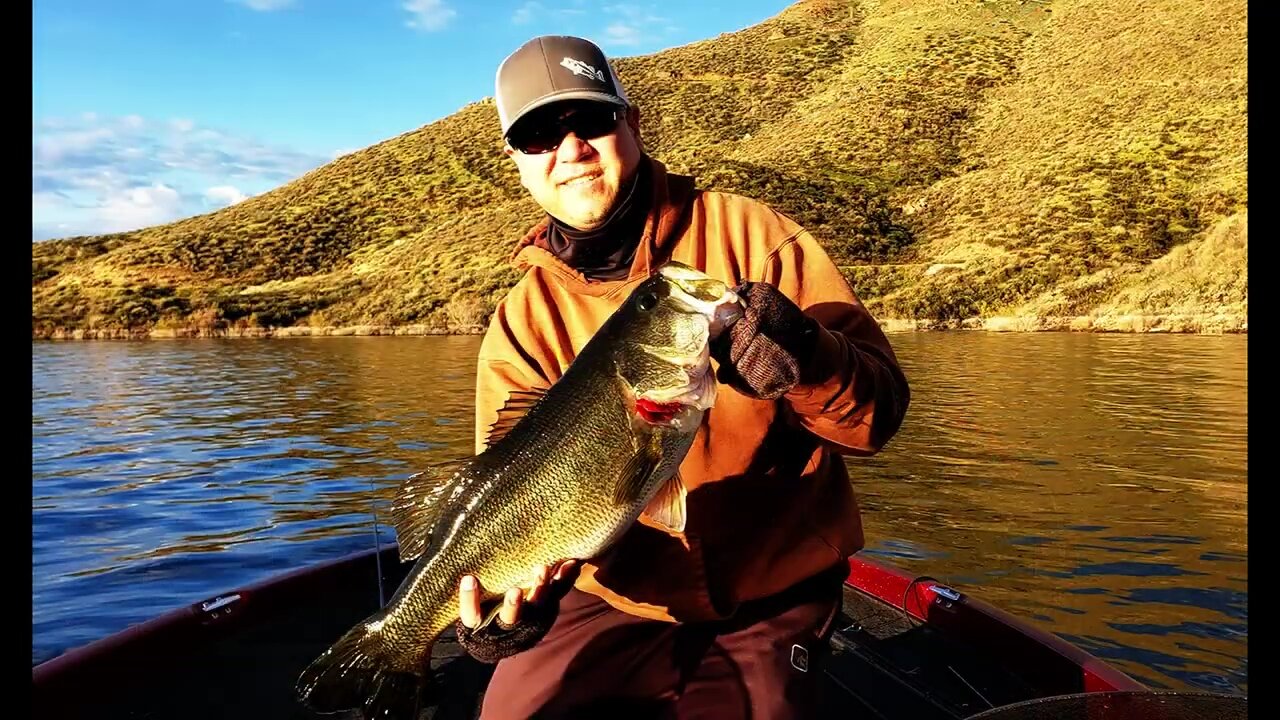 Throwback - 7.9 lber at Diamond Valley Lake