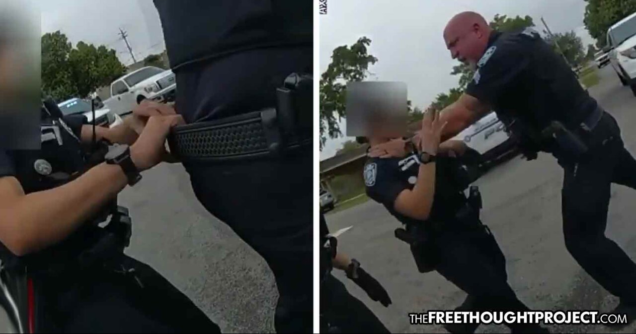 Raging Cop Strangles Female Officer After She Stopped Him from Attacking Handcuffed Man