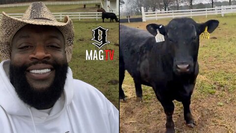 Rick Ross Frees "Thor" To Mingle With The Horses! 🐄