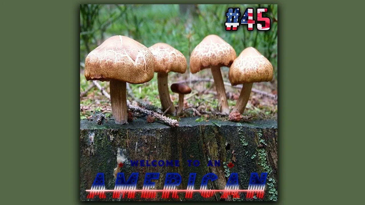 #45 - Mushrooms in My Veins