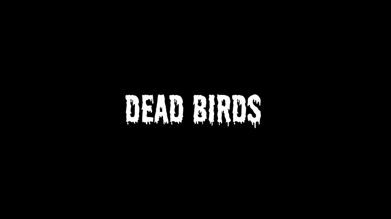 Dead Birds