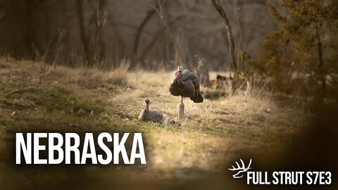 Early Archery Turkey Action in Nebraska - Full Strut S7E3 - Nebraska