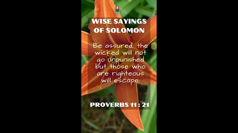 Proverbs 11:21 | Wise Sayings of Solomon